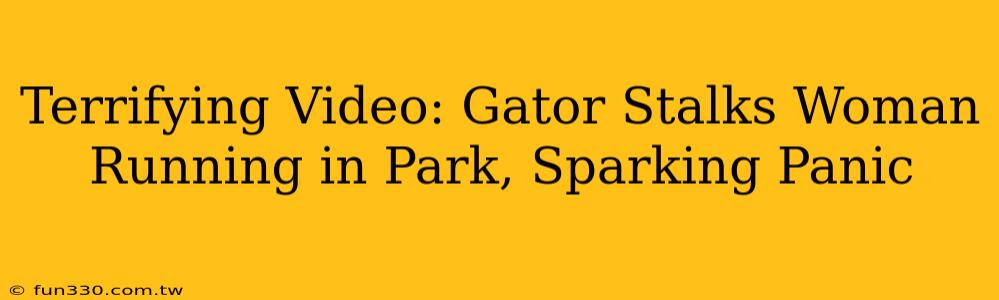 Terrifying Video: Gator Stalks Woman Running in Park, Sparking Panic