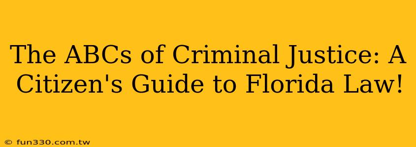 The ABCs of Criminal Justice: A Citizen's Guide to Florida Law!