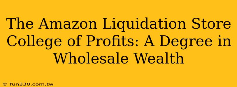 The Amazon Liquidation Store College of Profits: A Degree in Wholesale Wealth