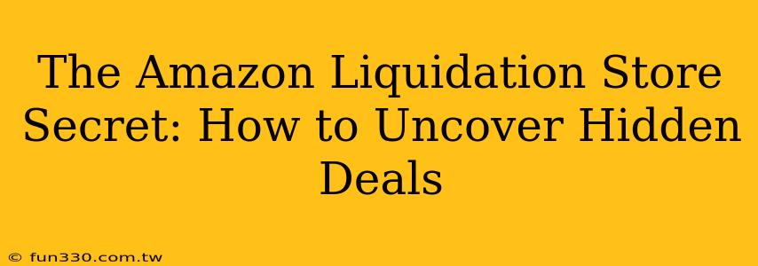 The Amazon Liquidation Store Secret: How to Uncover Hidden Deals