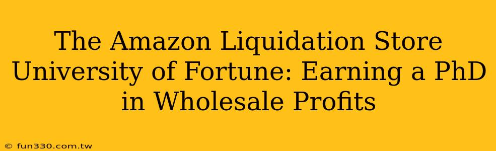 The Amazon Liquidation Store University of Fortune: Earning a PhD in Wholesale Profits