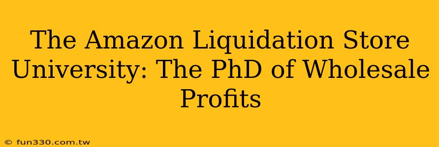 The Amazon Liquidation Store University: The PhD of Wholesale Profits