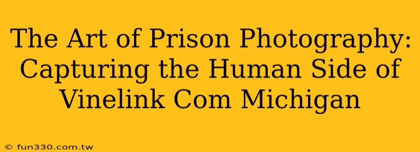 The Art of Prison Photography: Capturing the Human Side of Vinelink Com Michigan