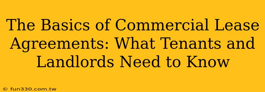 The Basics of Commercial Lease Agreements: What Tenants and Landlords Need to Know