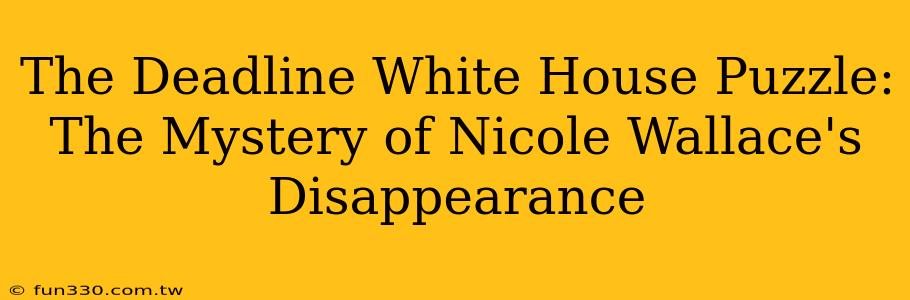 The Deadline White House Puzzle: The Mystery of Nicole Wallace's Disappearance