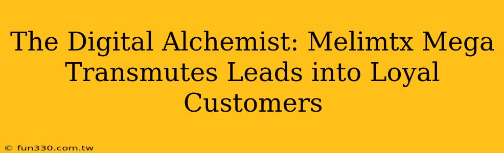 The Digital Alchemist: Melimtx Mega Transmutes Leads into Loyal Customers