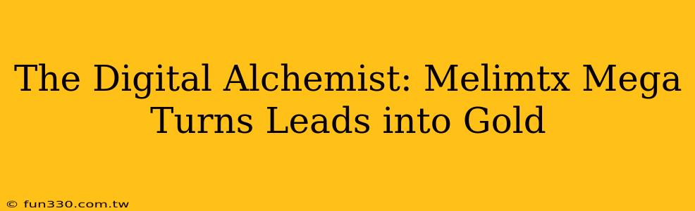 The Digital Alchemist: Melimtx Mega Turns Leads into Gold