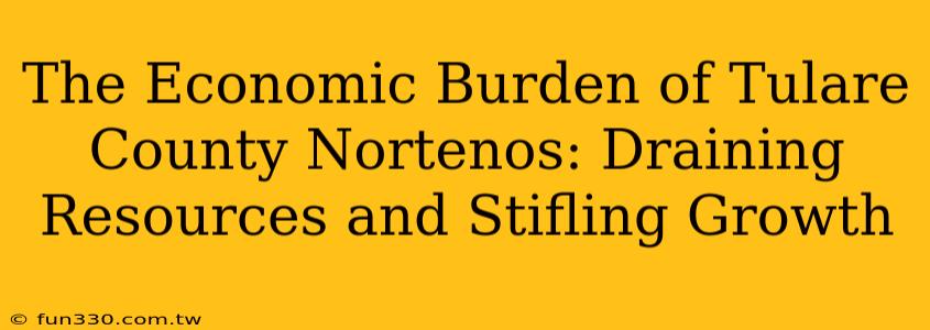 The Economic Burden of Tulare County Nortenos: Draining Resources and Stifling Growth