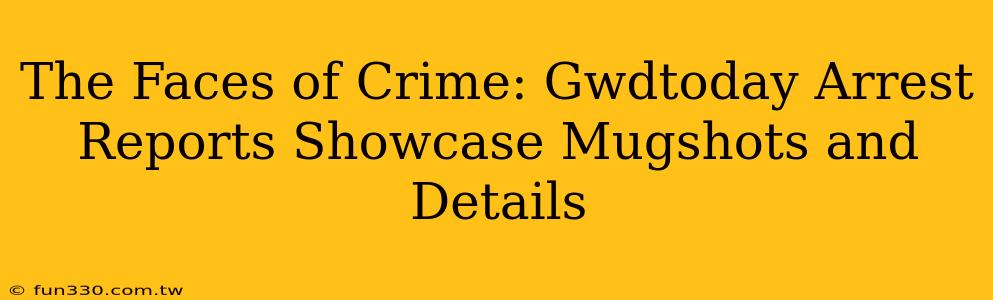 The Faces of Crime: Gwdtoday Arrest Reports Showcase Mugshots and Details