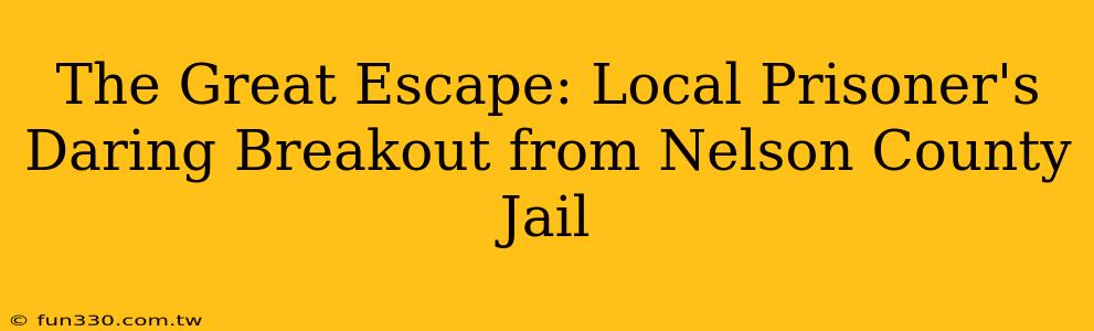 The Great Escape: Local Prisoner's Daring Breakout from Nelson County Jail