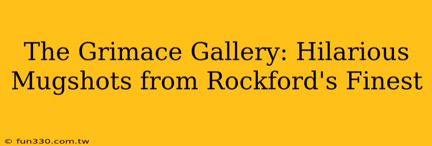 The Grimace Gallery: Hilarious Mugshots from Rockford's Finest