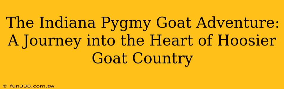 The Indiana Pygmy Goat Adventure: A Journey into the Heart of Hoosier Goat Country