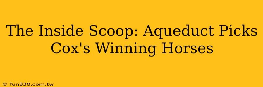 The Inside Scoop: Aqueduct Picks Cox's Winning Horses