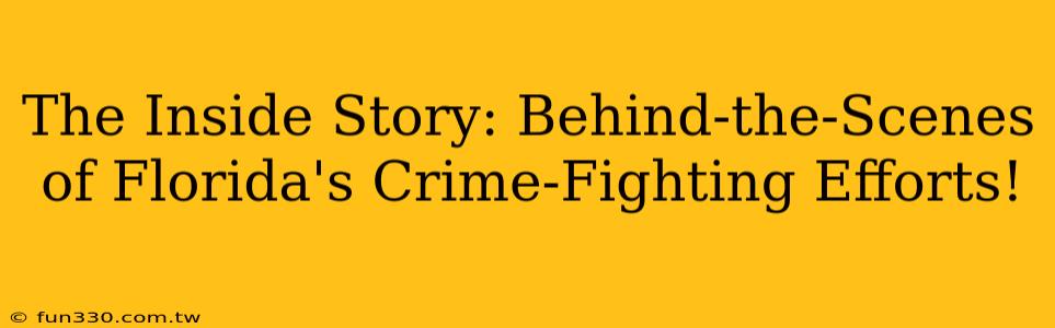 The Inside Story: Behind-the-Scenes of Florida's Crime-Fighting Efforts!