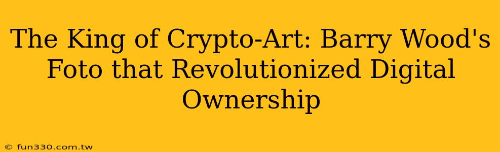 The King of Crypto-Art: Barry Wood's Foto that Revolutionized Digital Ownership