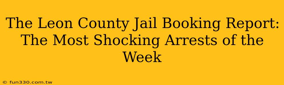 The Leon County Jail Booking Report: The Most Shocking Arrests of the Week