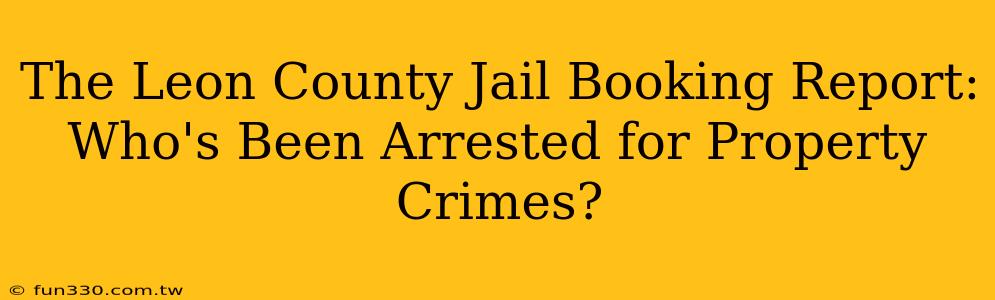 The Leon County Jail Booking Report: Who's Been Arrested for Property Crimes?