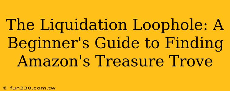 The Liquidation Loophole: A Beginner's Guide to Finding Amazon's Treasure Trove