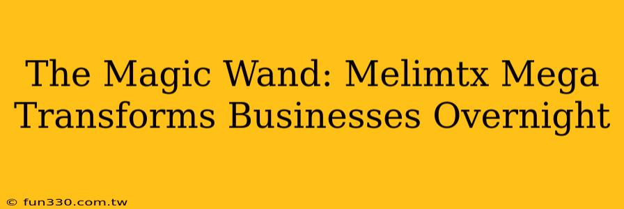 The Magic Wand: Melimtx Mega Transforms Businesses Overnight