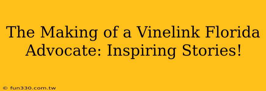 The Making of a Vinelink Florida Advocate: Inspiring Stories!