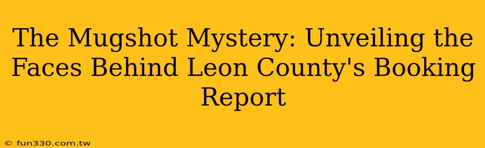 The Mugshot Mystery: Unveiling the Faces Behind Leon County's Booking Report