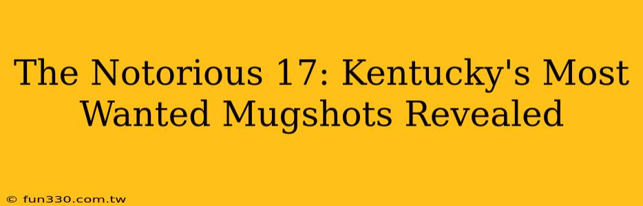 The Notorious 17: Kentucky's Most Wanted Mugshots Revealed