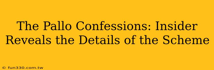 The Pallo Confessions: Insider Reveals the Details of the Scheme