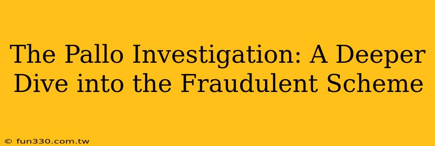 The Pallo Investigation: A Deeper Dive into the Fraudulent Scheme