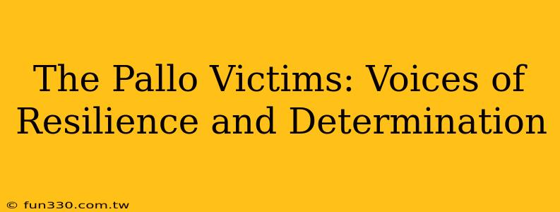 The Pallo Victims: Voices of Resilience and Determination