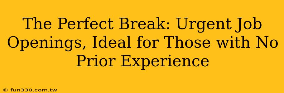 The Perfect Break: Urgent Job Openings, Ideal for Those with No Prior Experience