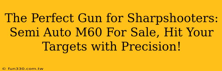 The Perfect Gun for Sharpshooters: Semi Auto M60 For Sale, Hit Your Targets with Precision!