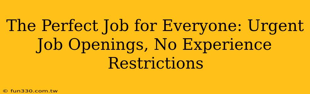 The Perfect Job for Everyone: Urgent Job Openings, No Experience Restrictions