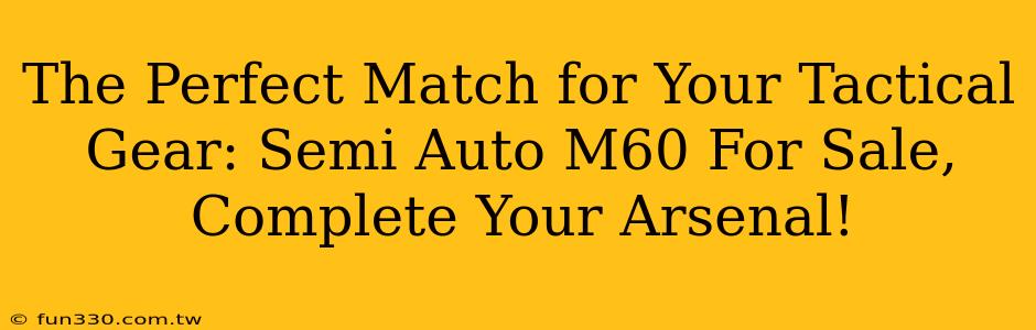 The Perfect Match for Your Tactical Gear: Semi Auto M60 For Sale, Complete Your Arsenal!