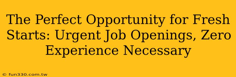 The Perfect Opportunity for Fresh Starts: Urgent Job Openings, Zero Experience Necessary