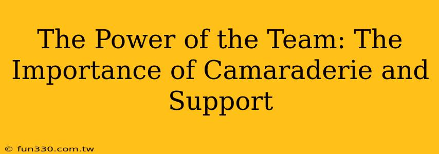 The Power of the Team: The Importance of Camaraderie and Support