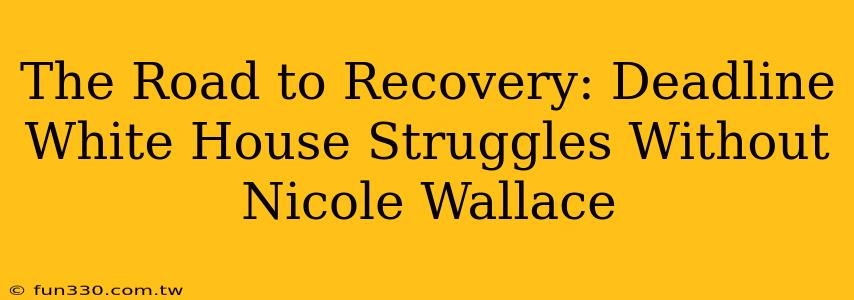 The Road to Recovery: Deadline White House Struggles Without Nicole Wallace