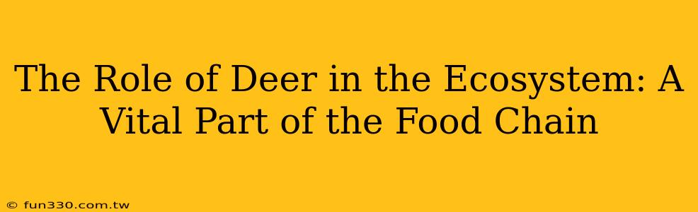 The Role of Deer in the Ecosystem: A Vital Part of the Food Chain