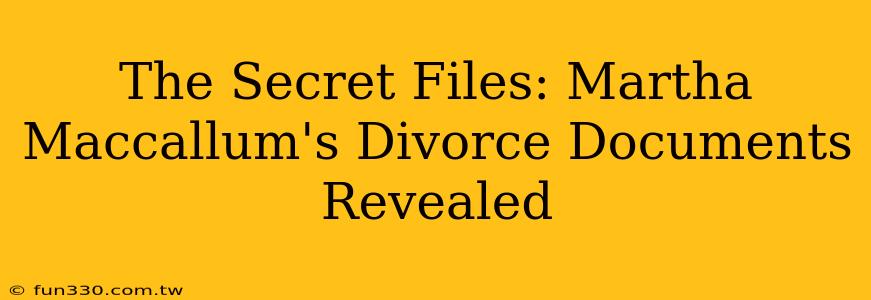 The Secret Files: Martha Maccallum's Divorce Documents Revealed