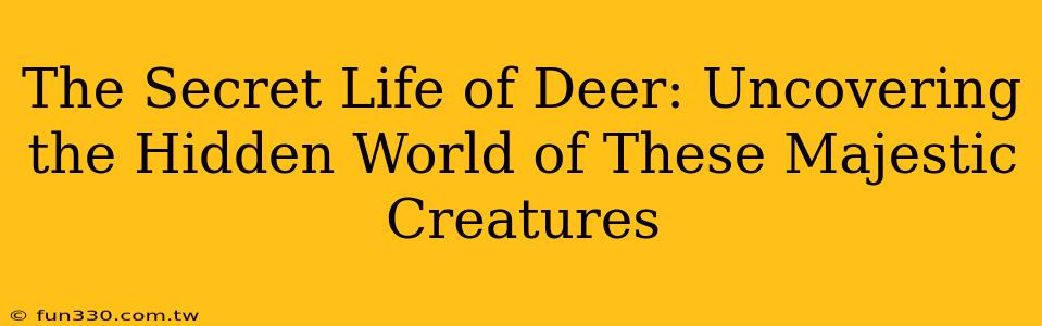 The Secret Life of Deer: Uncovering the Hidden World of These Majestic Creatures