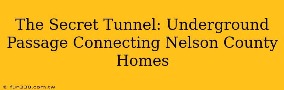 The Secret Tunnel: Underground Passage Connecting Nelson County Homes