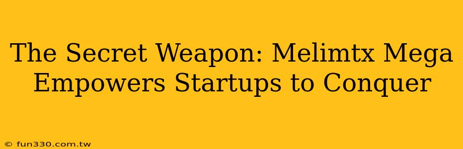 The Secret Weapon: Melimtx Mega Empowers Startups to Conquer