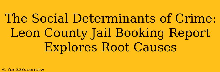 The Social Determinants of Crime: Leon County Jail Booking Report Explores Root Causes