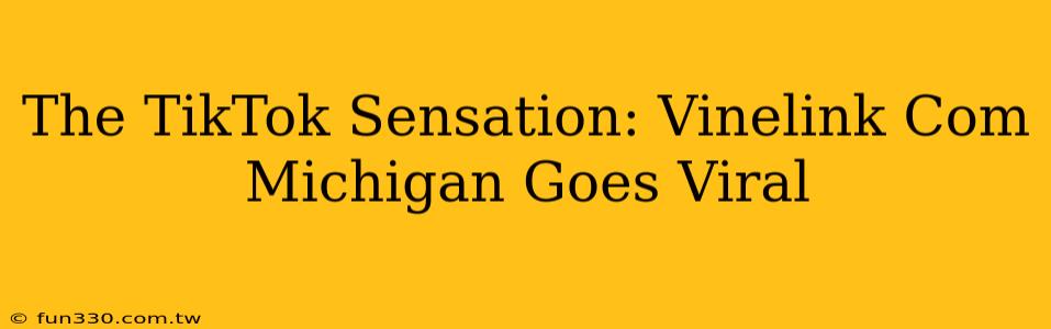 The TikTok Sensation: Vinelink Com Michigan Goes Viral