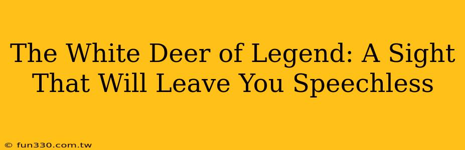 The White Deer of Legend: A Sight That Will Leave You Speechless