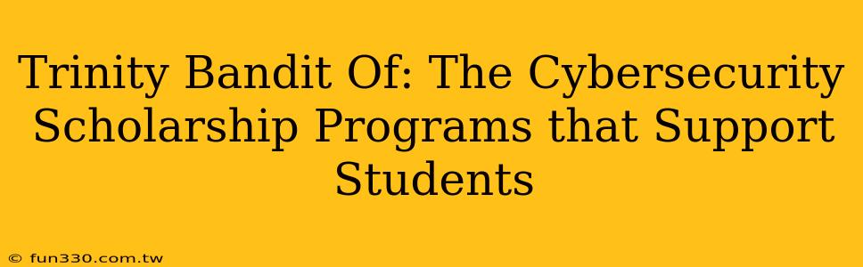 Trinity Bandit Of: The Cybersecurity Scholarship Programs that Support Students