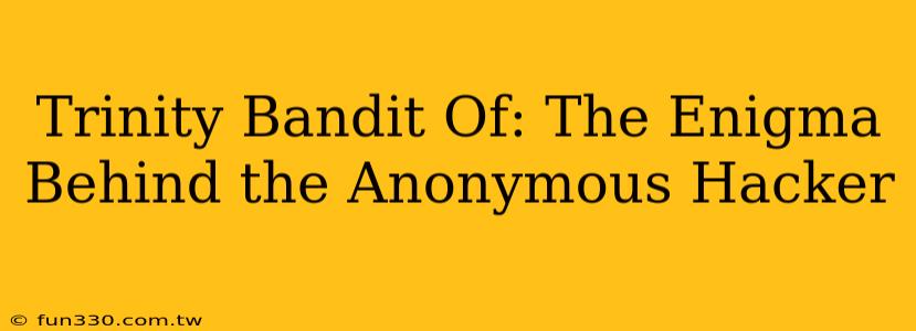 Trinity Bandit Of: The Enigma Behind the Anonymous Hacker