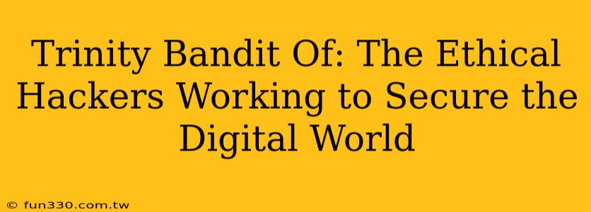 Trinity Bandit Of: The Ethical Hackers Working to Secure the Digital World