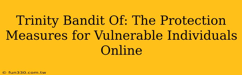 Trinity Bandit Of: The Protection Measures for Vulnerable Individuals Online