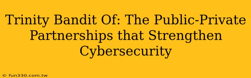 Trinity Bandit Of: The Public-Private Partnerships that Strengthen Cybersecurity