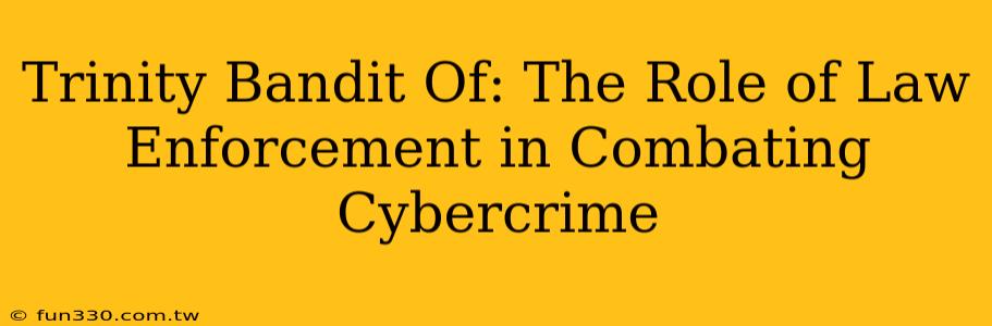 Trinity Bandit Of: The Role of Law Enforcement in Combating Cybercrime